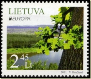 Forest 8