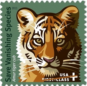 [Tiger[1].jpg]