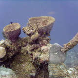 Atlantis rechtsaf