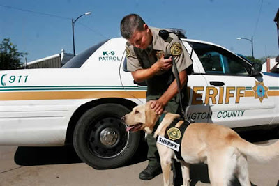 Washington County K-9 Officer "Joe" and a handler (Courtesy Photo) Washington County K-9 Officer "Joe" and a handler (Courtesy Photo)