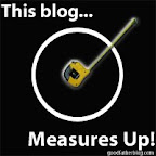 This Blog Measures Up