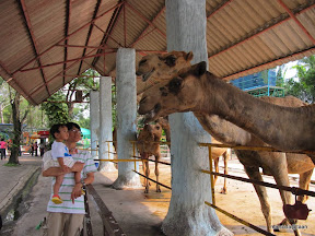 พู่กันเที่ยวศรีราชา