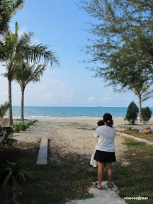 พู่กันว่ายน้ำชายหาด