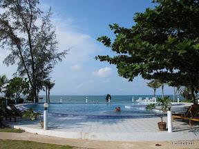 พู่กันว่ายน้ำชายหาด