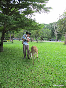 พู่กันเที่ยวบางแสนวันที่ 3 สวนสัตว์เปิดเขาเขียว