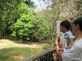 พู่กันเที่ยวบางแสนวันที่ 3 สวนสัตว์เปิดเขาเขียว
