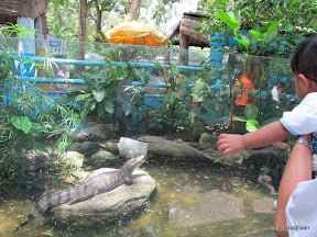 พู่กันเที่ยวบางแสนวันที่ 3 สวนสัตว์เปิดเขาเขียว