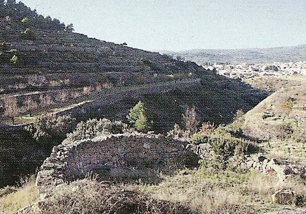 [ventisquero+corral+blanco.jpg]