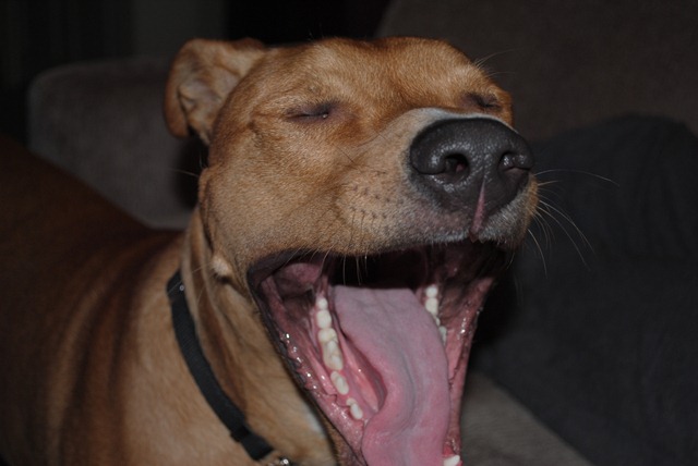 [DSC_0084[4].jpg]