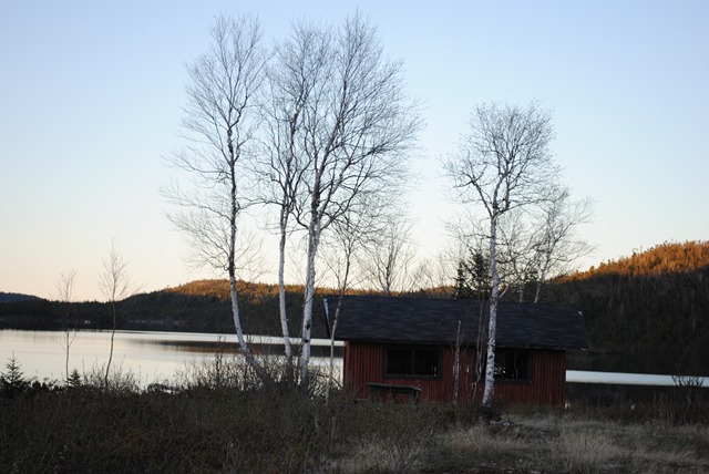 [DSC_15495.jpg]