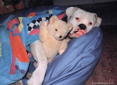 clip_image018[4]