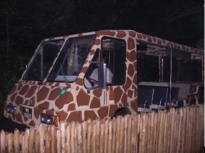 [nite safari tram[4].jpg]