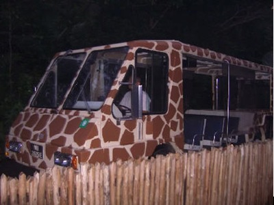 nite safari tram
