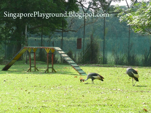 [Animal Resort Birds[4].jpg]