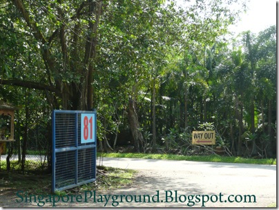 Animal Resort direction