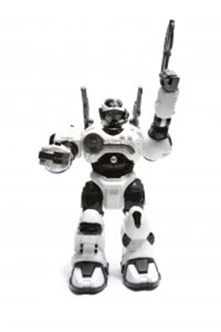 robot1