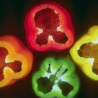 Legumes