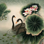 Birds & Flowers
