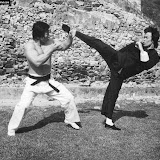 Bruce Lee 256.jpg
