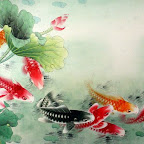 Koi Fish