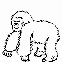Macacos PB (4).jpg
