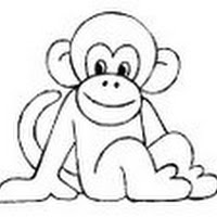 MACACO_4_gif.jpg
