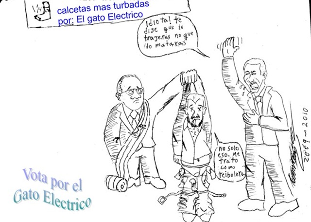 [gatoelectrico3[3].jpg]