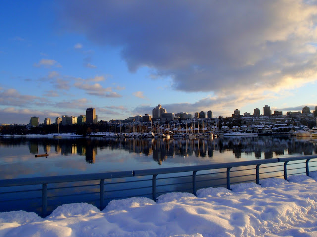 False Creek, Vancouver Christmas Day