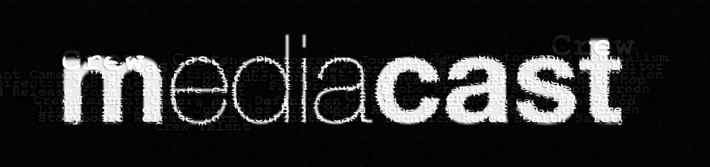 [Mediacast_blog_logo6[3].jpg]