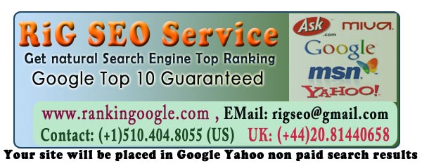 Search Engine Optimization Service by www.rankingoogle.com