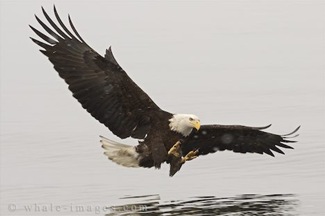 touch-down_106