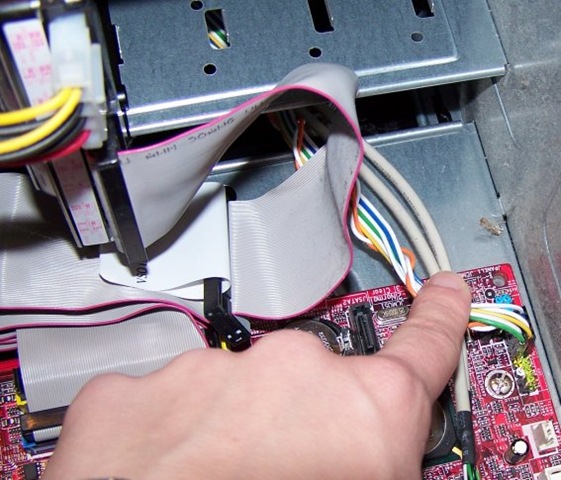 [ComputerBug[5].jpg]