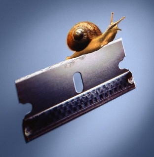 [snail razor[5].jpg]