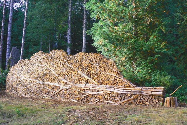 [a6wztfm7NGt8iltyas[5].jpg]