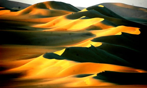 [sahara-dunes[5].jpg]