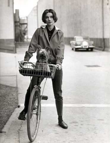 [Audrey-Hepburn-And-Her-Yorkie-On-Bike-710816[5].jpg]