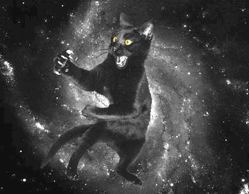 [tumblr_lbmo06SStl1qax5l3o1_500[4].gif]