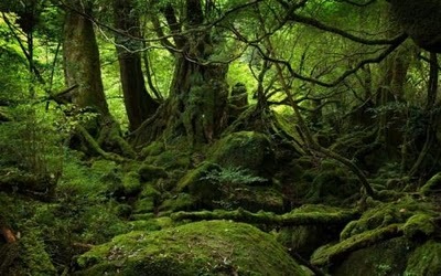 [1284494493612015[5].jpg]