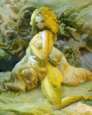art_of_cabbage_03