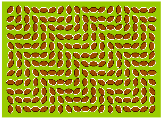 [wavy-beans-illusion[5].gif]