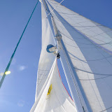 _DSC0835.JPG