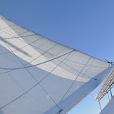 _DSC1447.JPG
