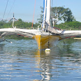 _DSC2400.JPG