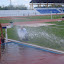 DSC00416.JPG