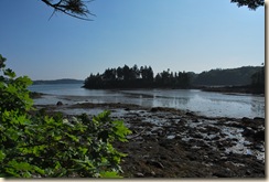 another low tide pic