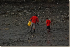hunting for clams