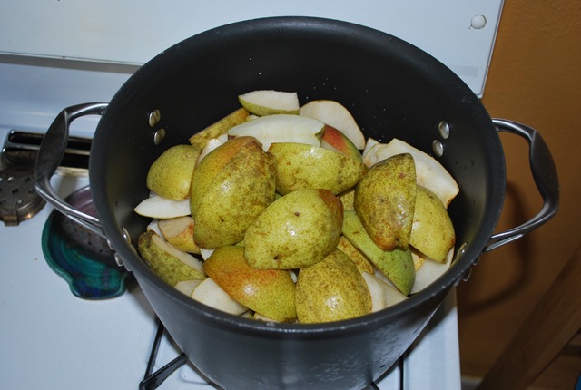 [fall canning 2010 002[2].jpg]