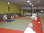 Judo - 3 juli 2009: Foto