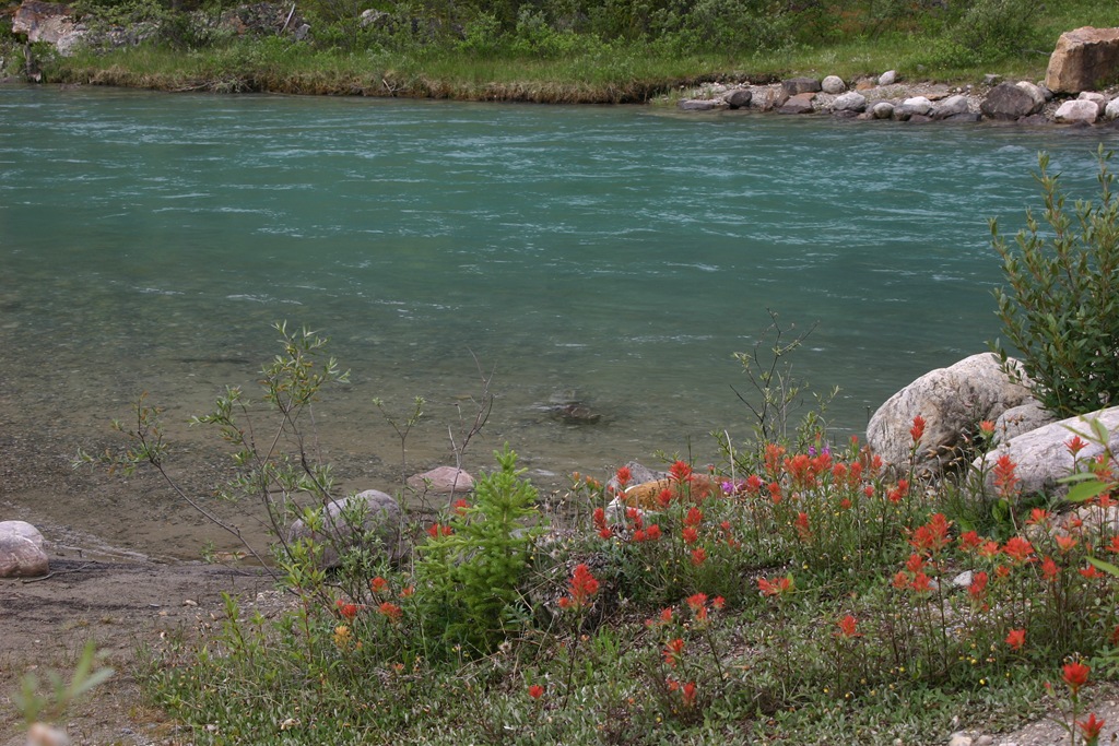 [AK09 Leg 7 Lake Louise 012[3].jpg]