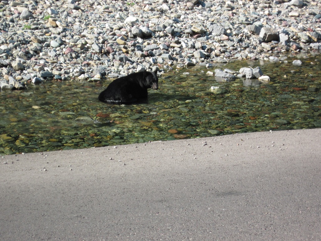 [AK09 Leg 35, Radium Hot Springs to Hungry Horse 016[4].jpg]